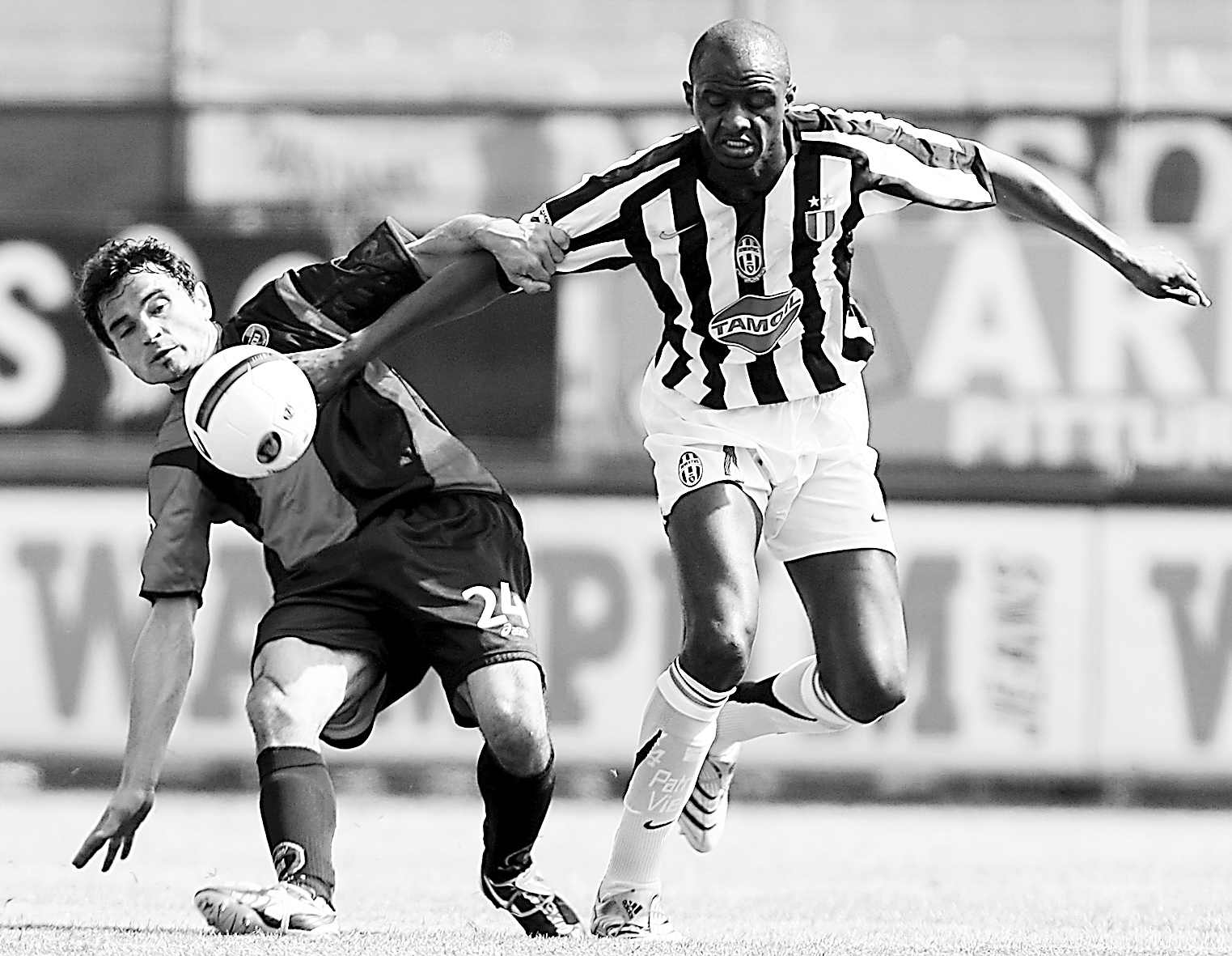 都应果断吹 都应果断吹