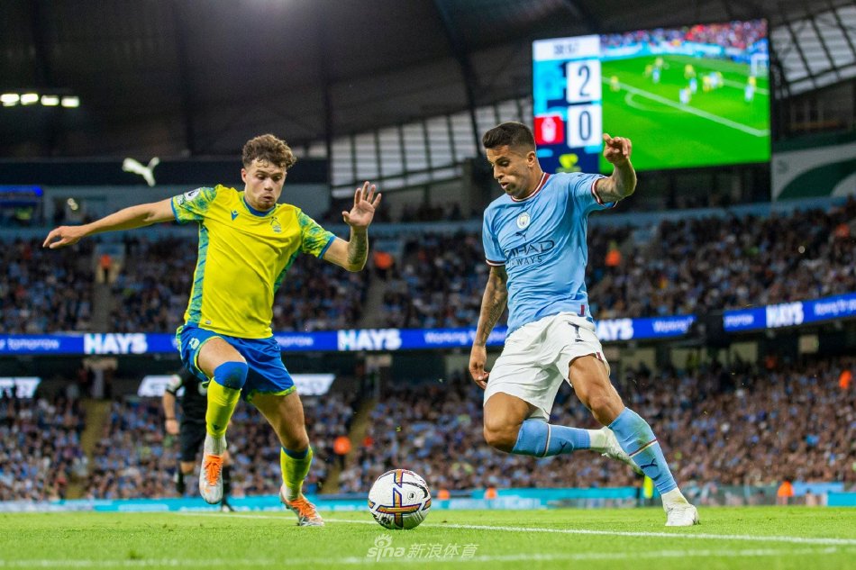 作被认定为 作被认定为